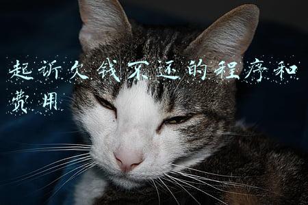 起诉欠钱不还的程序和费用