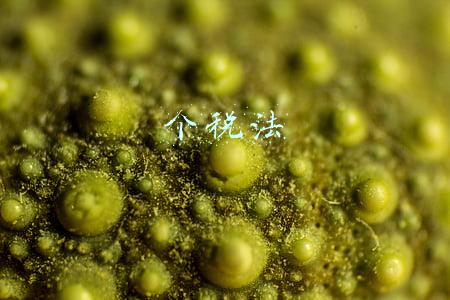 个税法