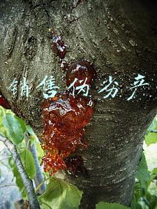 生产销售伪劣产品罪