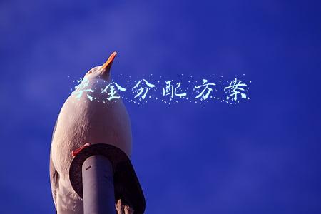 奖金分配方案