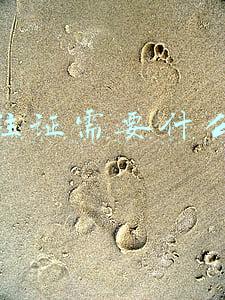 哈尔滨办暂住证需要什么材料(在哈尔滨居住一个月以上年满十六周岁的外来人员可办理《暂住证》)