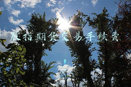 股指期货交易手续费为什么那么高(股指期货减负有利于长远发展)