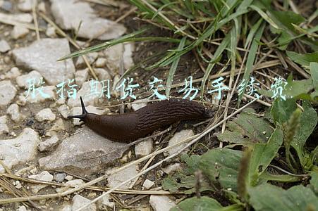 股指期货交易手续费