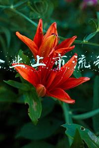 企业上市流程