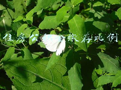 住房公积金缴存比例