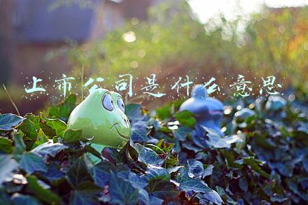 上市公司是什么意思