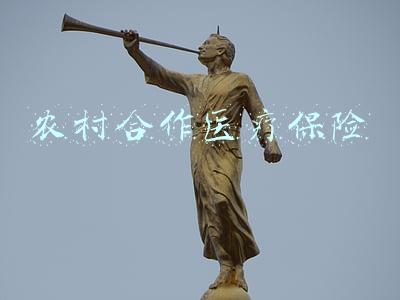 农村合作医疗保险