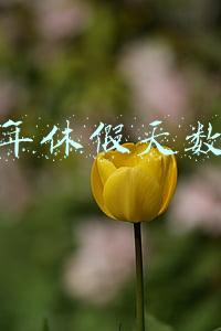 年休假天数