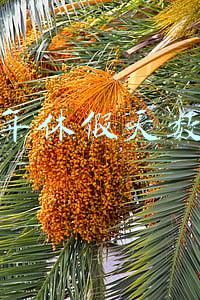 年休假天数