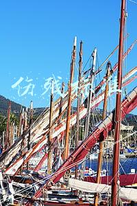 伤残标准
