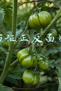 身份证正反面图片