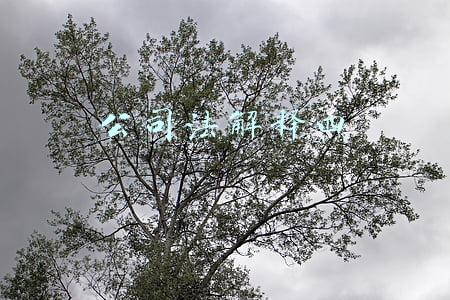 公司法解释四第八条(以案释法：须与公司主营业务有实质性竞争关系方认定目的不正当)