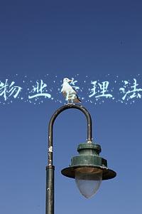 物业管理法