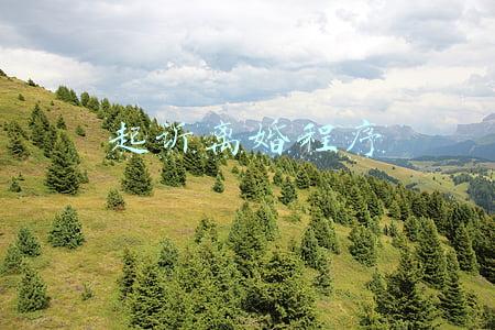 起诉离婚程序