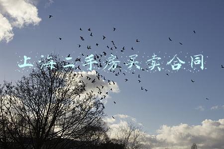 上海二手房买卖合同