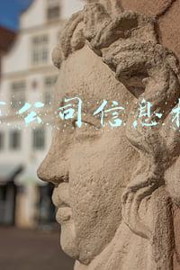 上市公司信息披露