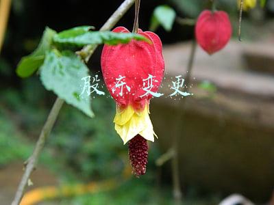股东变更需要哪些资料(天津代办公司变更股东？变更股东流程？)