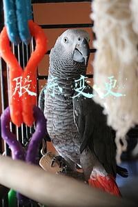 股东变更税务网上如何办理(长丰县综合治税信息平台)