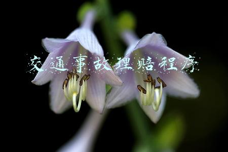交通事故理赔程序