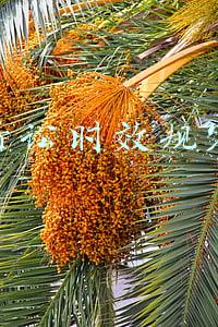 诉讼时效规定