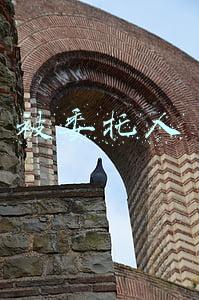 被委托人是指谁(受托人处理委托事务时因外界原因受到损失可以向委托人请求赔偿吗)