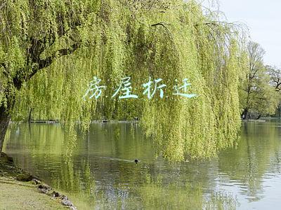 房屋拆迁