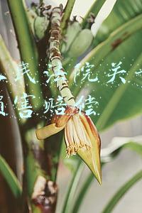 最高人民法院关于审理人身损害赔偿