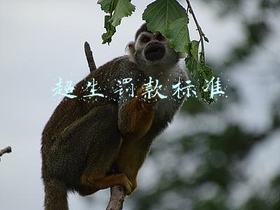 新疆超生罚款标准(生育政策的“奖与罚”)