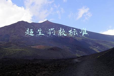 2021超生罚款标准(2021年超生还收社会抚养费吗)