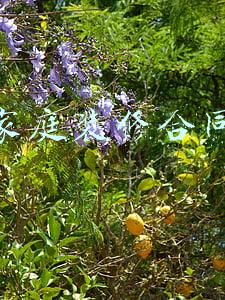 家庭装修合同电子版(XX市家庭居室装饰装修施工合同)
