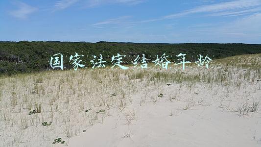 国家法定结婚年龄
