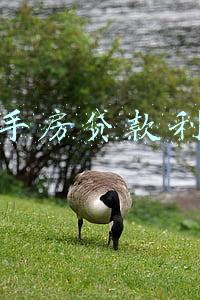 二手房贷款利率