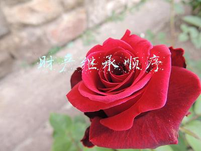 财产继承顺序