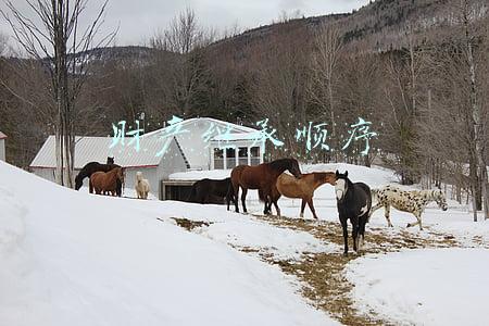 财产继承顺序
