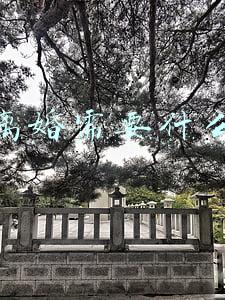 起诉离婚需要什么手续