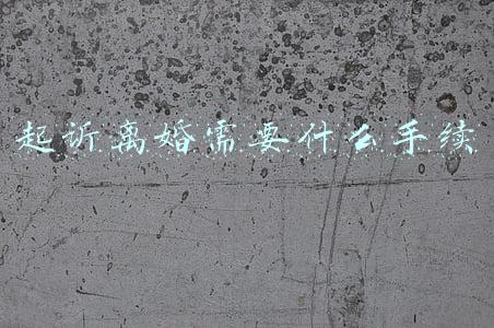 起诉离婚需要什么手续
