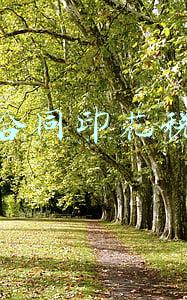 购销合同印花税税率