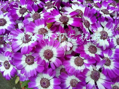 购销合同印花税税率