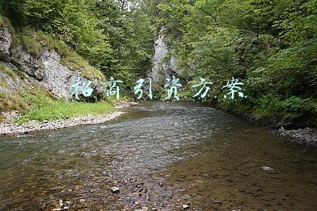 招商引资方案