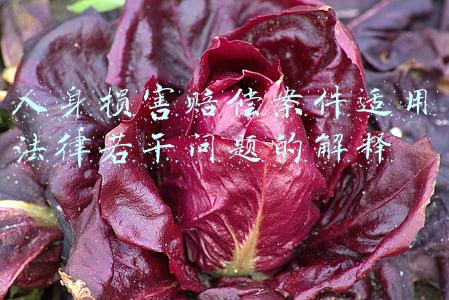 人身损害赔偿案件适用法律若干问题的解释