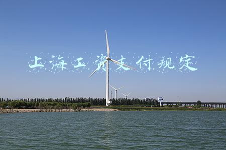 上海工资支付规定