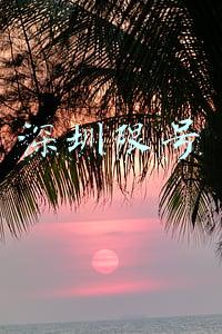 深圳限号吗(注意！深圳3月1日起恢复外地车早晚高峰限行)