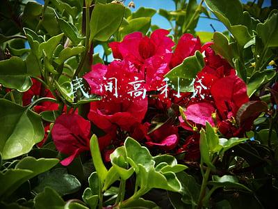 民间高利贷