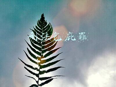 刑法包庇罪