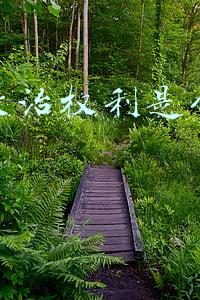 判刑被剥夺政治权利是什么意思(对判处死刑的罪犯，为什么还要剥夺政治权利终身？这么做很有必要)