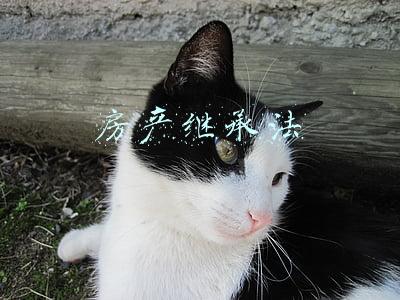 房产继承法