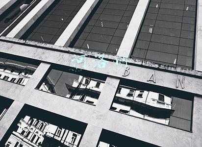 河洛网app(回望5300年！——“河洛古国”文明溯源)
