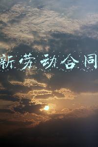 新劳动合同法下企业要注意哪些问题(很典型：确立劳动合同时应当注意的3个问题)