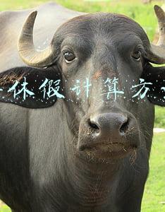 不满一年年休假计算方法(建议收藏：最详尽的带薪年休假解析)