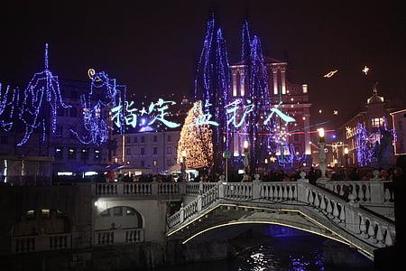 指定监护人
